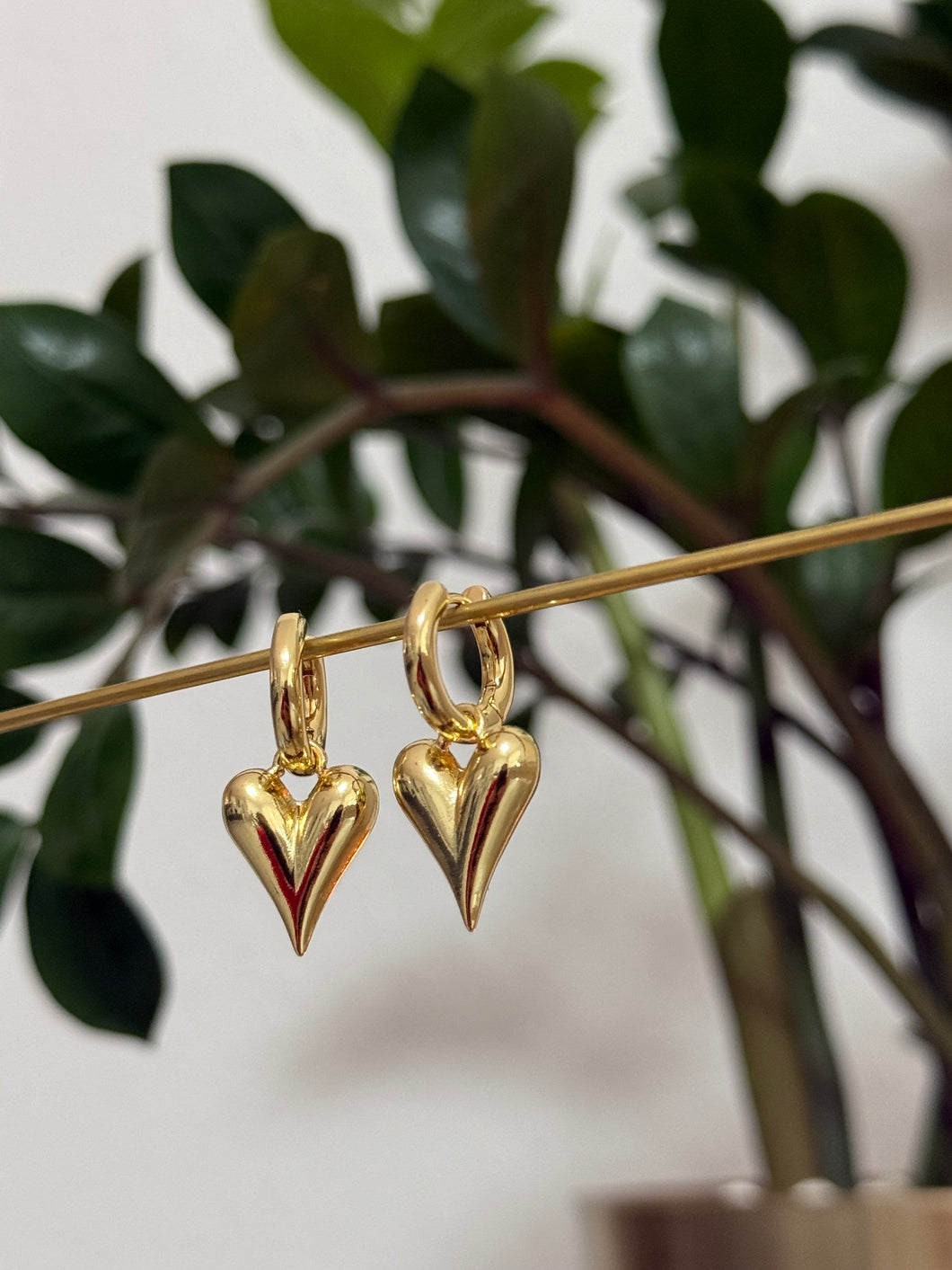 Golden Love Earrings